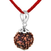 Petrichor Original 5 Faced Rudraksha Bead with Silver Capping 5 Mukhi with Certificate
