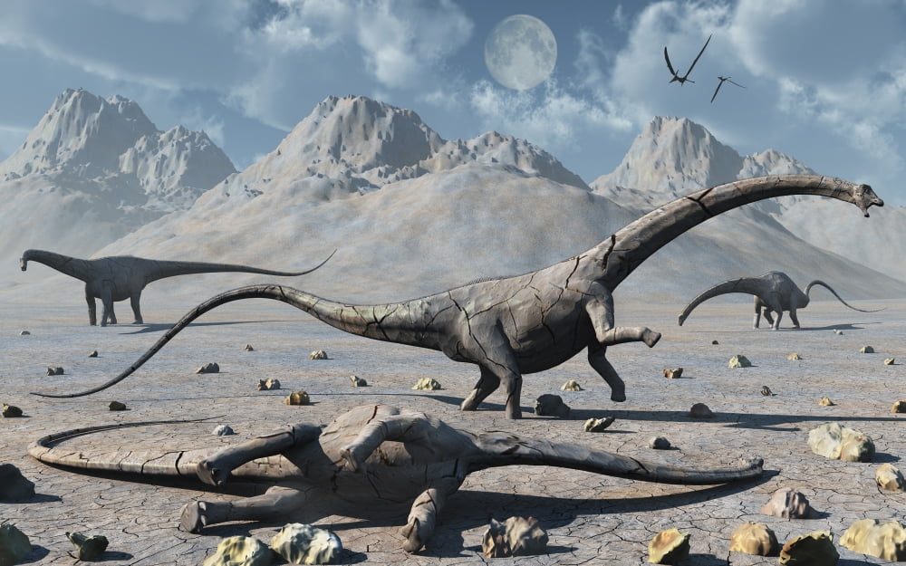 Petrified Diplodocus dinosaurs from the Jurassic Period Canvas Art - Mark StevensonStocktrek Images (36 x 23)