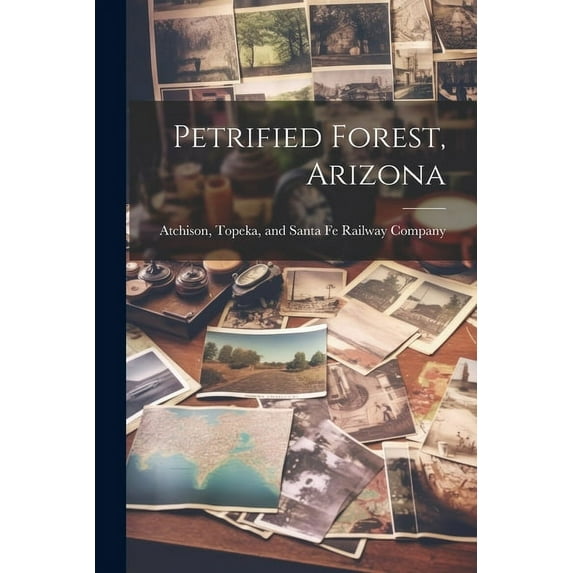 Petrified Forest, Arizona (Paperback)