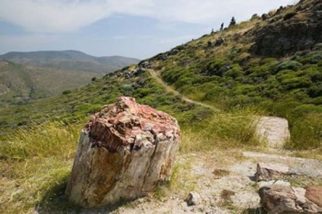 Petrified Forest Sigri Lesvos Mithymna Northeastern Aegean Islands Greece Canvas Art - Walter Bibikow DanitaDelimont (36 x 24)
