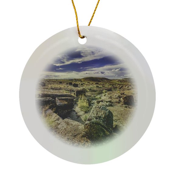 3drose, Petrified Rock in a Dry Was in Petrified Forest National Park, Circle Porcelain Ornament