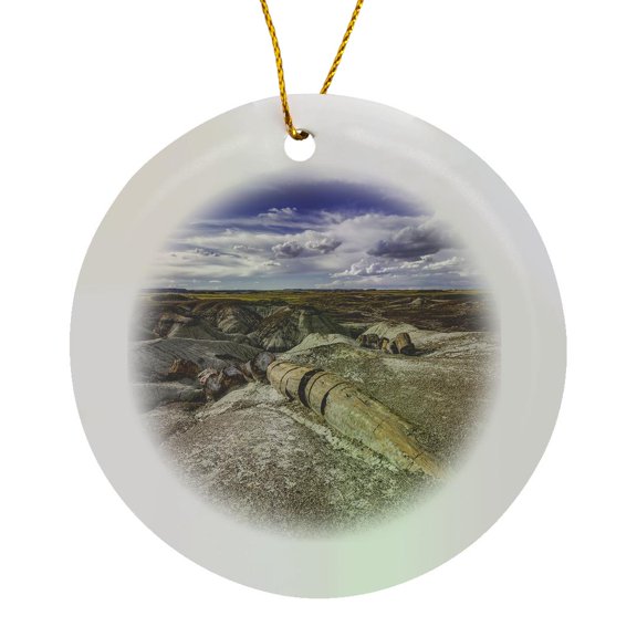3drose, Petrified Rock Tree in Petrified Forest National Park, Circle Porcelain Ornament