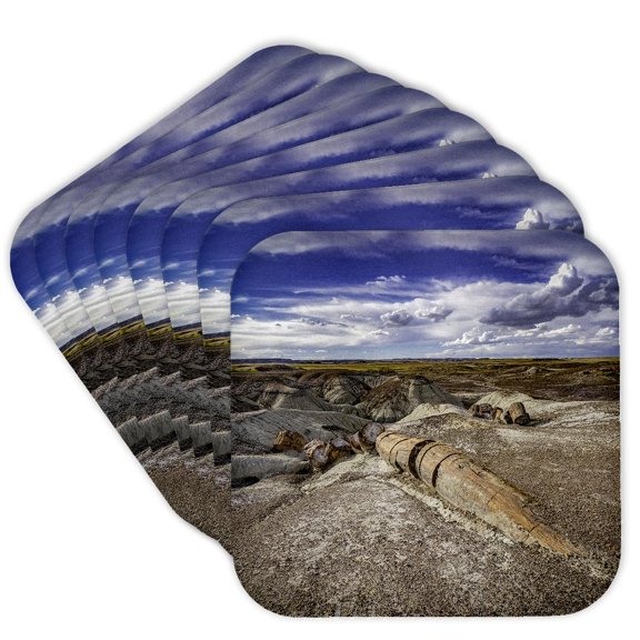 3drose, Petrified Rock Tree in Petrified Forest National Park, Set of 8 Coasters - Soft