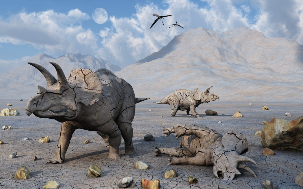 Petrified Triceratops dinosaurs from the Cretaceous Period Canvas Art - Mark StevensonStocktrek Images (18 x 12)
