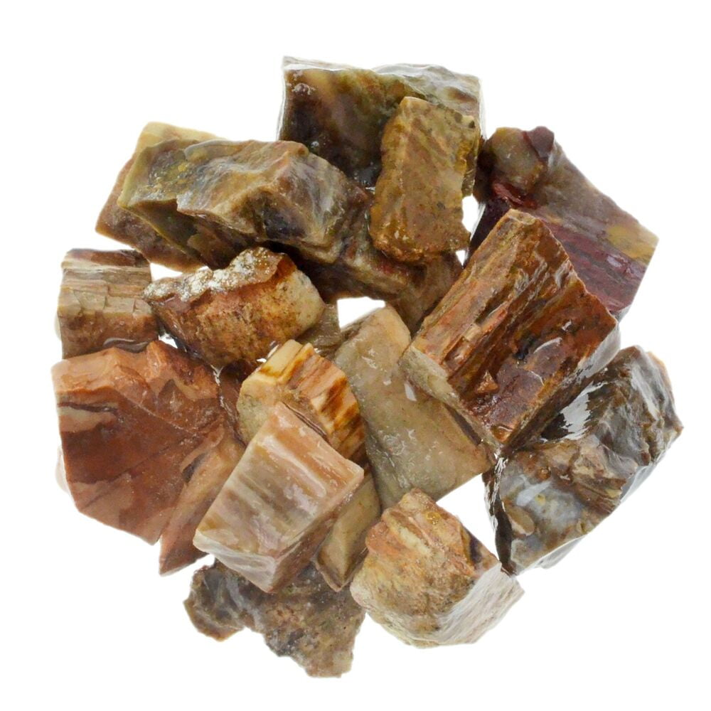 Petrified Wood - Rough Rocks for Tumbling - Dispelling Fear and Anxiety ...