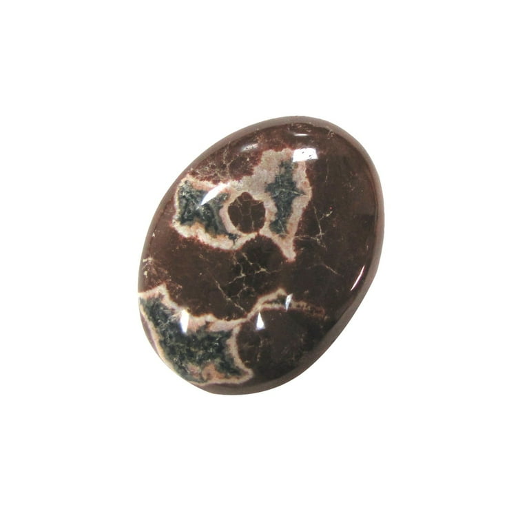 Petrified Wood Stone Reiki Spiritual Heal Rock Energy Balance Meditation Decor