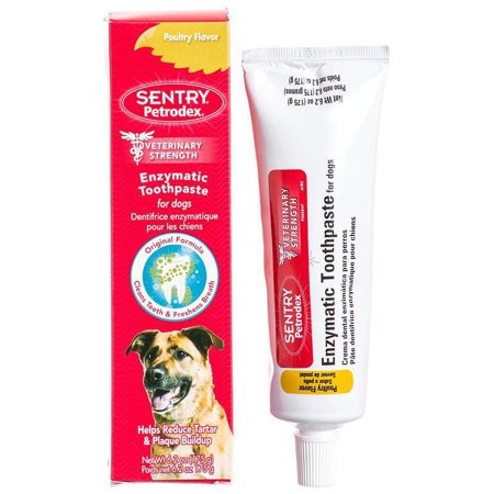 Petrodex Enzymatic Toothpaste for Dogs & Cats [Dog, Health Aids] Poultry Flavor - 6.2 oz