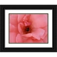 thumbnail image 1 of Petrovic, Snezana 14x12 Black Ornate Wood Framed with Double Matting Museum Art Print Titled - Black Ladybug, 1 of 4
