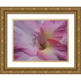 thumbnail image 1 of Petrovic, Snezana 14x12 Gold Ornate Wood Framed with Double Matting Museum Art Print Titled - Gladiolus Priscilla, 1 of 4