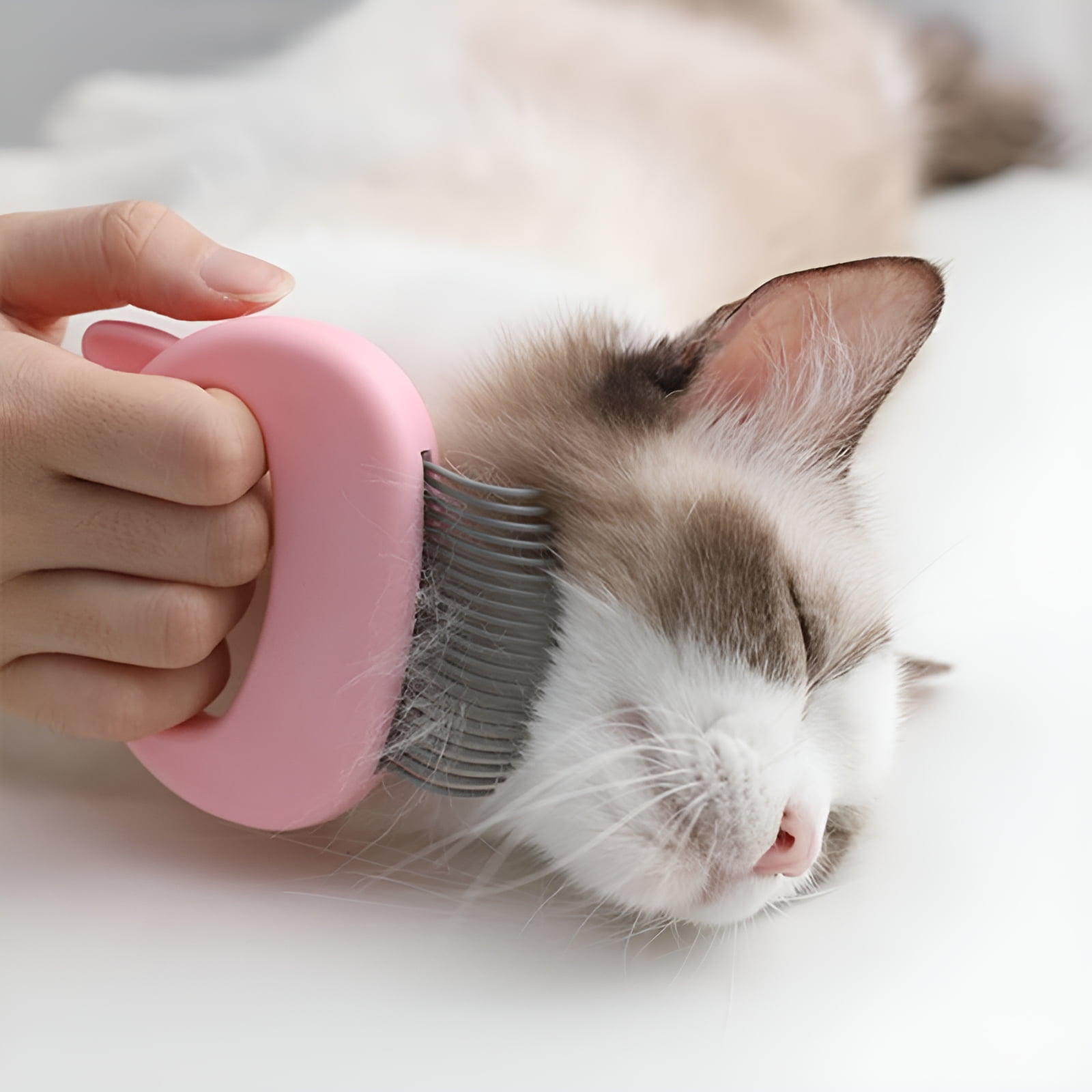 Cat massage comb hotsell
