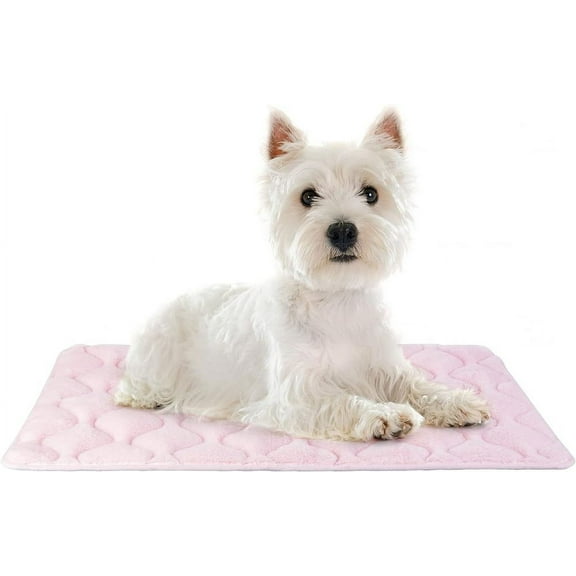 Pets Crate Pad Mat Ultra Soft Dog Bed for Crate Cat Mat Bed with Anti-Slip Bottom Machine Washable Kennel Mat, 24 in, Pink