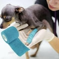 thumbnail image 1 of Pets Dog Cat Vet Wound Elastic Cohesive Bandage Self Adherent Useful Wrap 20207, 1 of 8