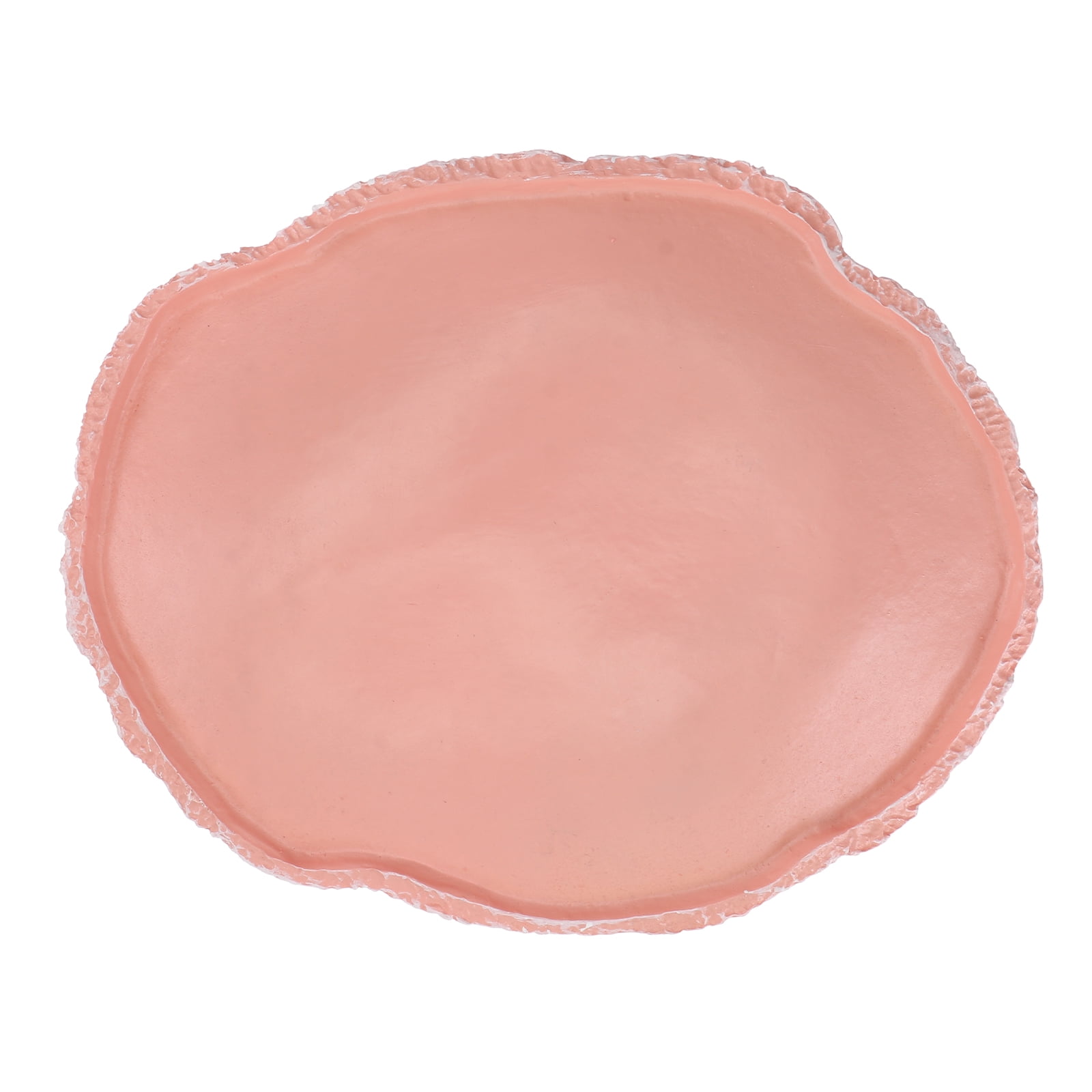 Pets Feeding Plate Reptile Feeding Bowl Vivarium Food Water Dish Resin