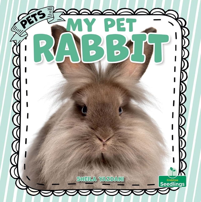Pets My Pet Rabbit, (Paperback)