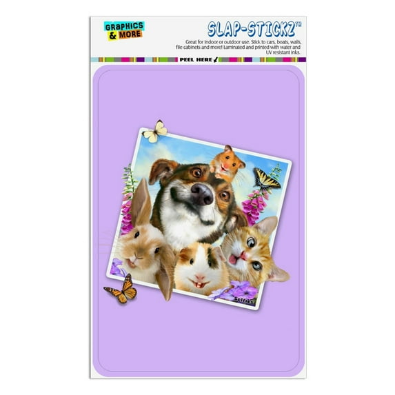 Pets Selfie Picture Dog Cat Guinea Pig Rabbit Home Business Office Sign