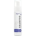 thumbnail image 1 of Nuesta Pets Waterless No-Rinse Shampoo, Hypoallergenic Foaming Cleanser for Cats & Dogs, 8 fl oz, 1 of 9