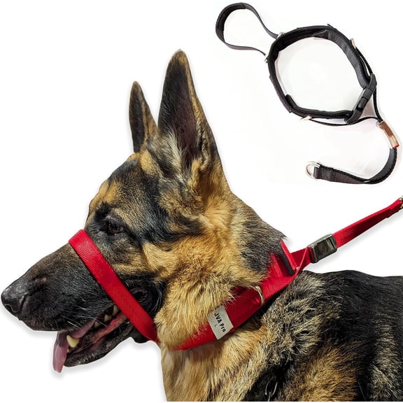 PetsProMax Dog Headcollar for Pulling & Reactive Dogs No-Pull Training Collar with Behind-Head Leash Hook Peaceful Walks, Instantly Stops Without Choking or Pinching (Red, L)