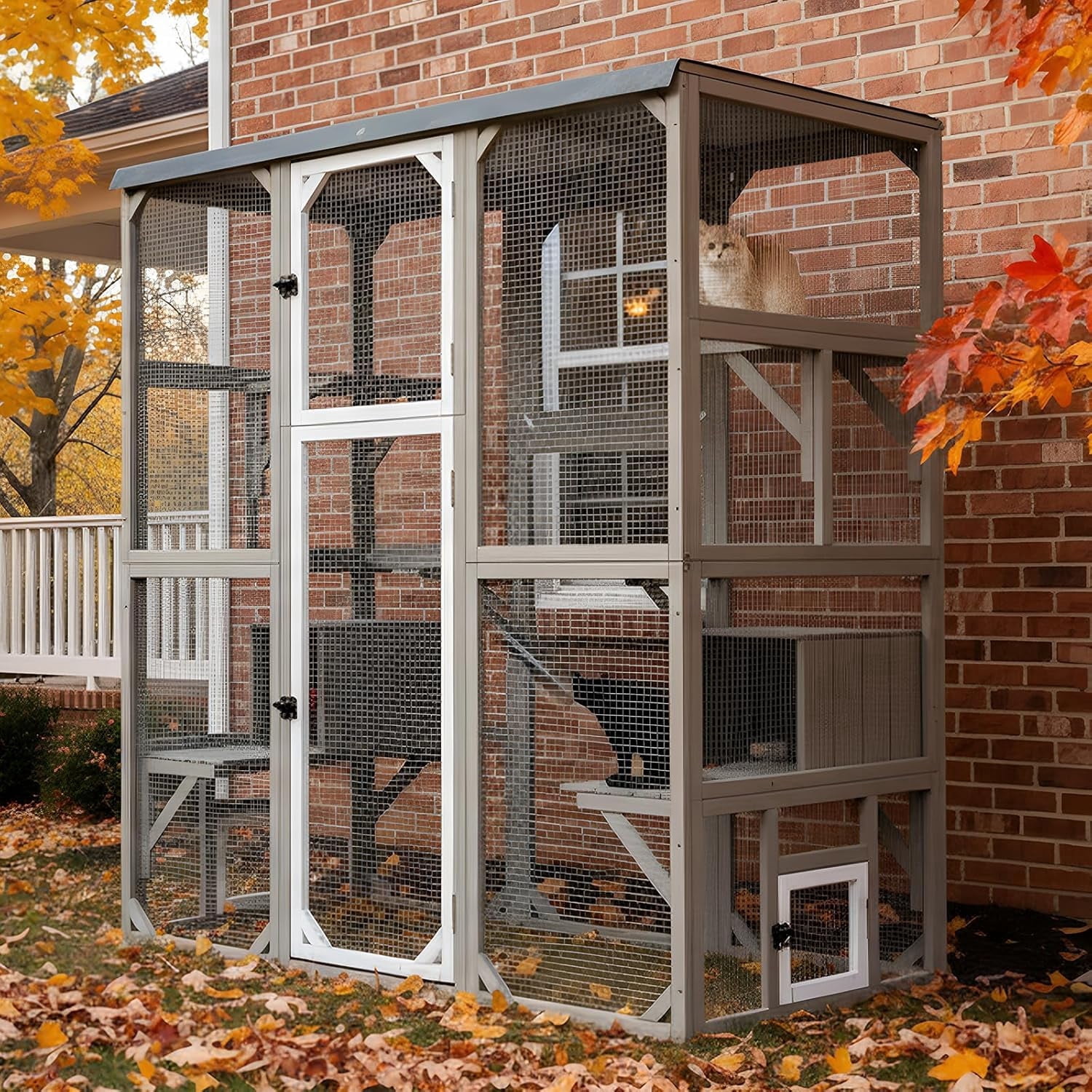 Petsblublu Large Outdoor Cat Catio Enclosures, Wooden Catio Window Cat ...