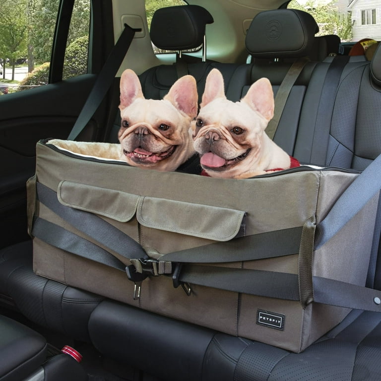 Pet booster seat for two dogs clearance