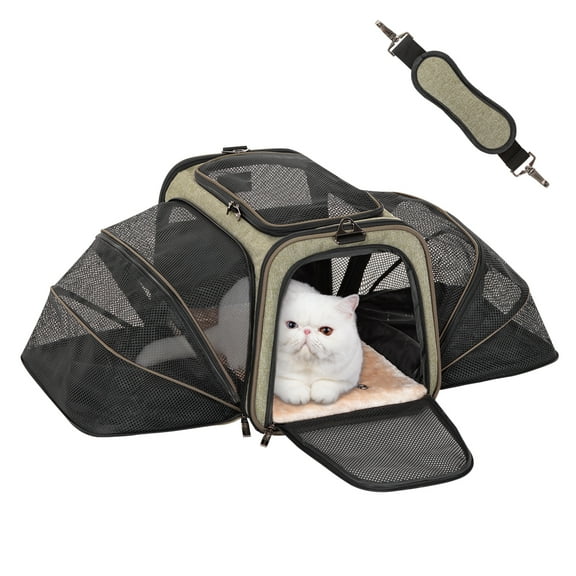Petsfit Expandable Cat Dog Carrier Airline Approved, 17" L x 11" W x 11" H Soft-Sided Portable Pet Travel Carrier for Kitten, Puppy, Removable Soft Plush Mat and Pockets, Auto-Locking Zippers