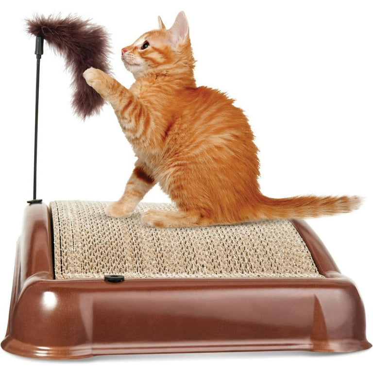 Forever emery cat scratcher store
