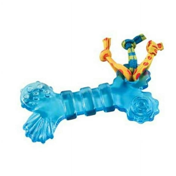 Petstages Orka Mini Chew Dog Bone Toy, Multicolor