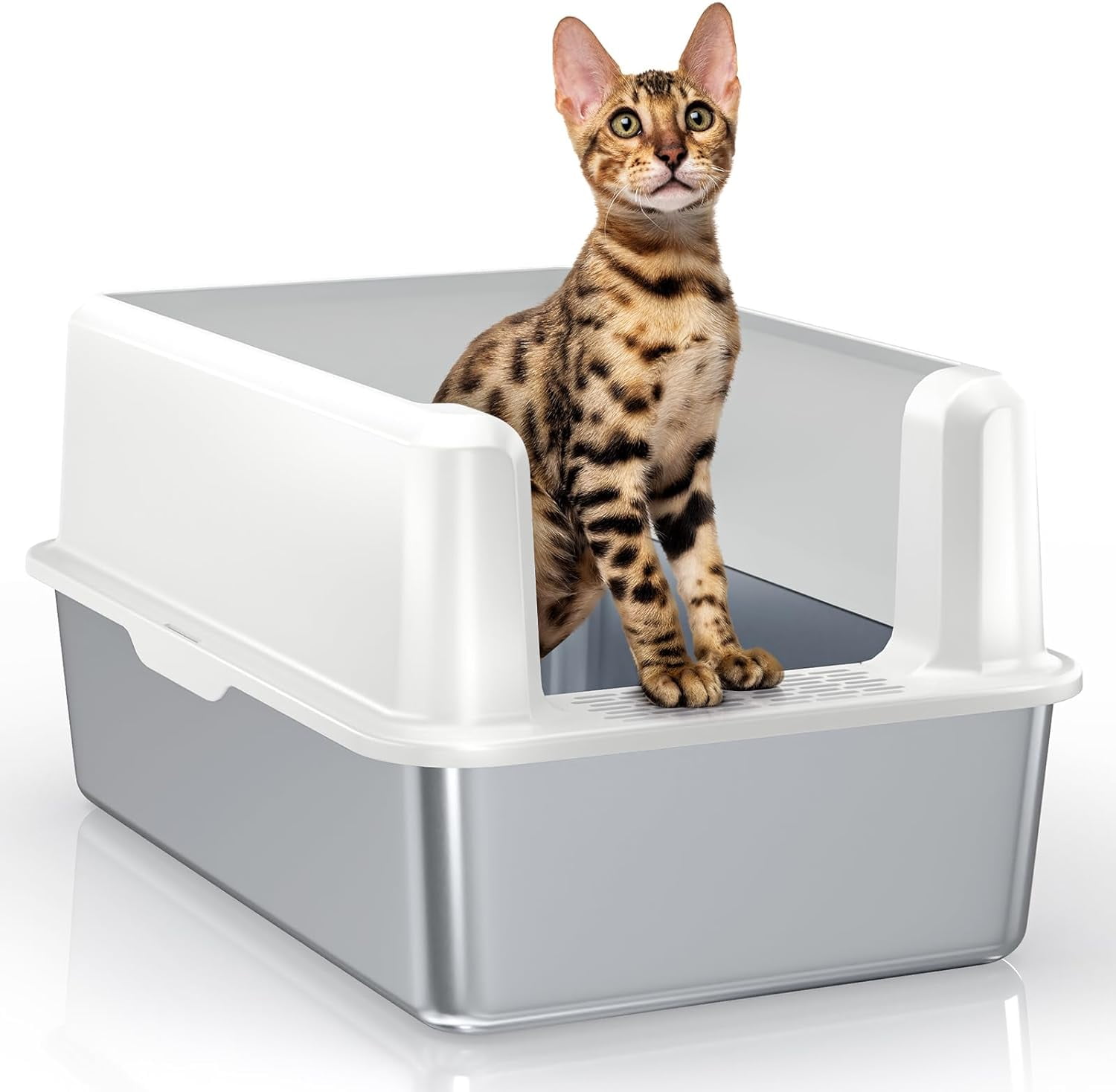 Petterm Stainless Steel Litter Box XXL Cat Litter Box with Lid Extra ...