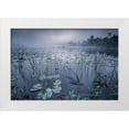 thumbnail image 1 of Pettersson, Benny 18x13 White Modern Wood Framed Museum Art Print Titled - Dawn Light, 1 of 4