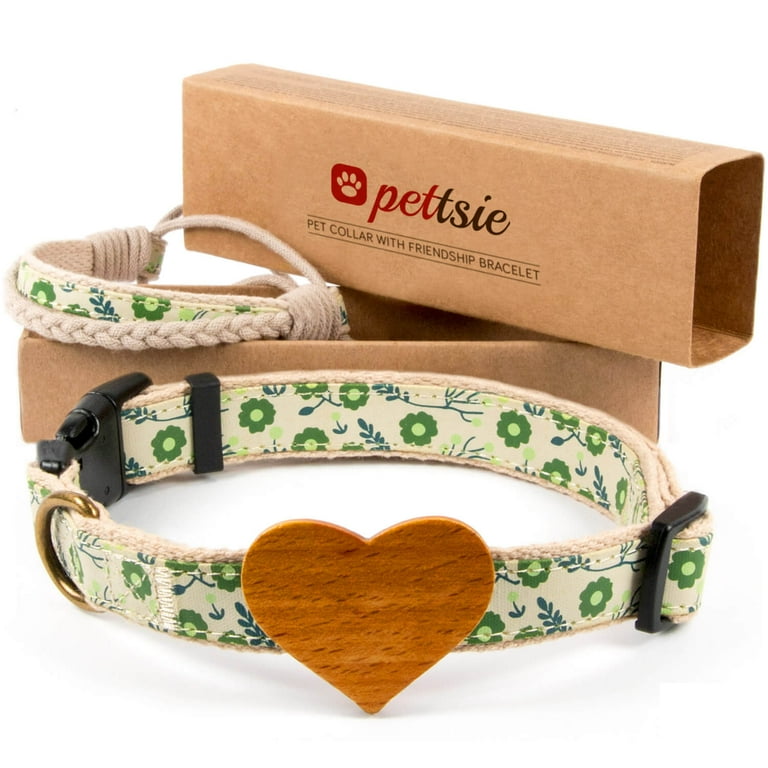 Dog owner matching collar online