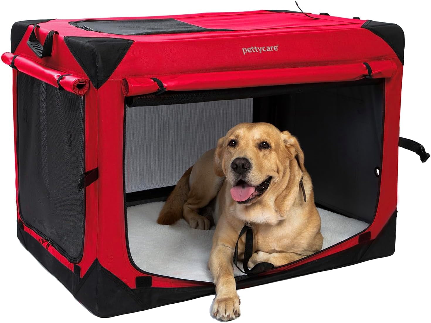 Beautiful view of Custom Dog Crate Air Flow Systems For Multiple Pets