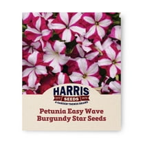 Harris Seeds - Petunia Easy Wave Burgundy Star F1 Seeds - NON-GMO - 25 Pelleted Seeds