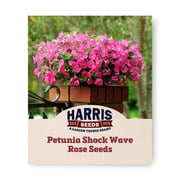 Harris Seeds - Petunia Shock Wave Rose Seeds - 25 Seeds