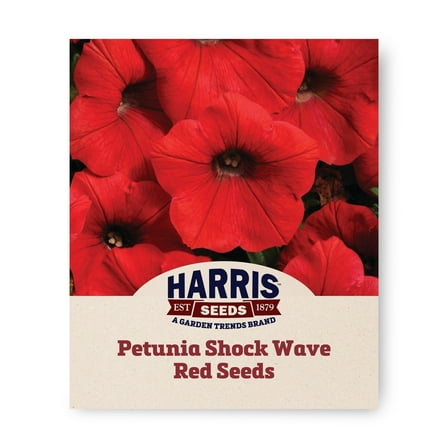 Harris Seeds - Petunia Shock Wave Red F1 Seeds For Planting - 25 Pelleted Seeds