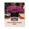 thumbnail image 1 of Petunia Wave Purple F1 Seed, 1 of 7