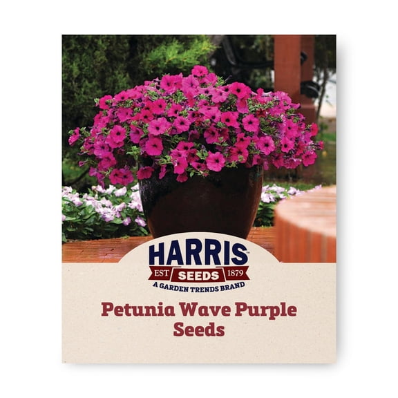 Harris Seeds Wave Purple Petunia F1, Trailing Spreading Flower for Baskets and Containers, 25 Count