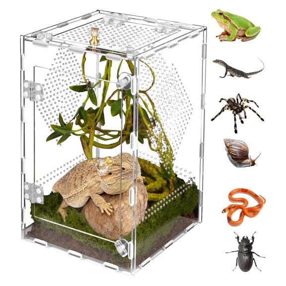 Petyoung 11.8*7.9*7.9" Acrylic Reptile Terrarium, for Jumping Spiders, Tarantulas, Geckos, Arachnids, Scratch-Resistant, Easy Assembly