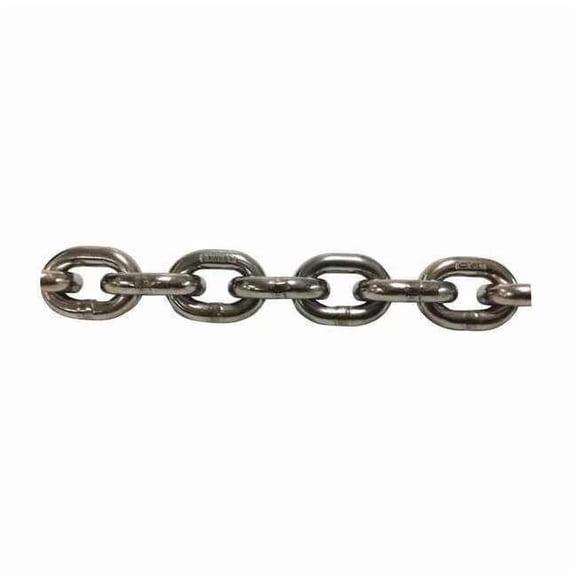 Straight Chain,316 SS,5'L,1,400 lb 38094/5