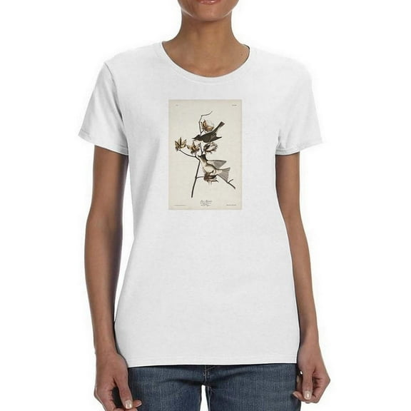 Pewit Flycatcher T-Shirt Women -John James Audubon Designs, Female 3X-Large