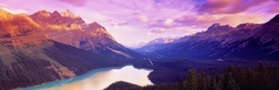 Peyto Lake Alberta Canada Canvas Art - Panoramic Images (36 x 12)