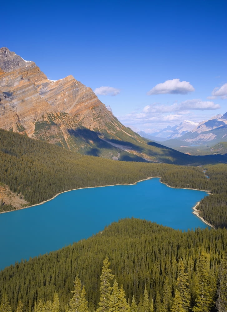 Peyto Lake Banff National Park Alberta Canada Canvas Art - Carson Ganci Design Pics (24 x 32)