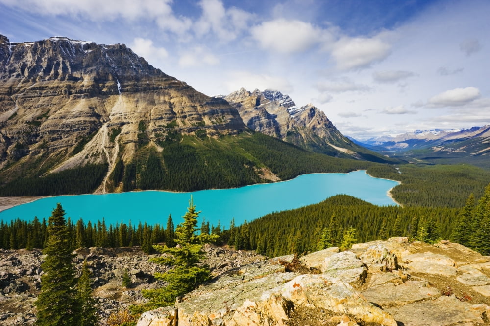Peyto Lake Banff National Park Alberta Canvas Art - Yves Marcoux Design Pics (17 x 11)