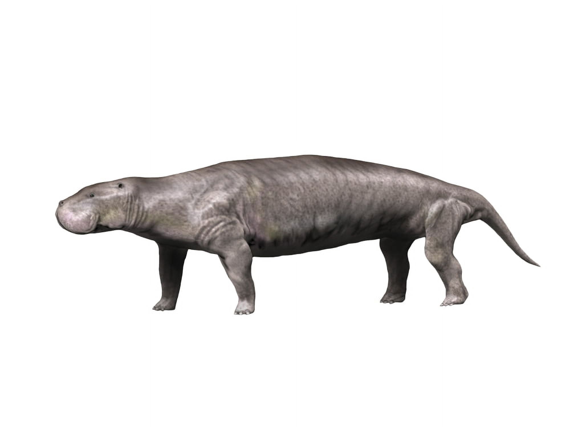Pezosiren is a sirenian mammal from the Eocene epoch Canvas Art - Nobumichi TamuraStocktrek Images (33 x 25)