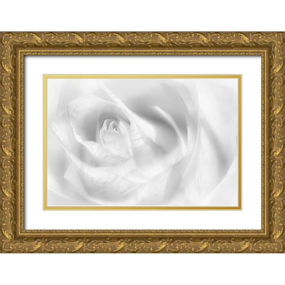 Pfeiffer, Peter 24x17 Gold Ornate Wood Framed with Double Matting Museum Art Print Titled - Hint Of A Rose