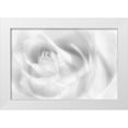 thumbnail image 1 of Pfeiffer, Peter 24x17 White Modern Wood Framed Museum Art Print Titled - Hint Of A Rose, 1 of 4