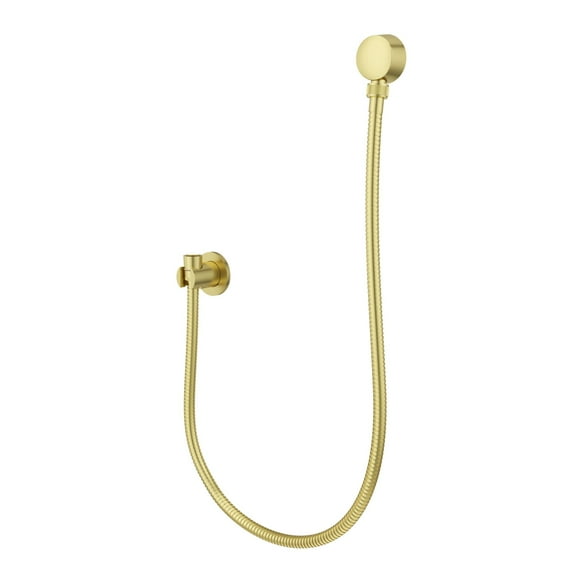 Pfister Hsk-21Shw Modern Round 3-Piece Handshower Holder - Gold