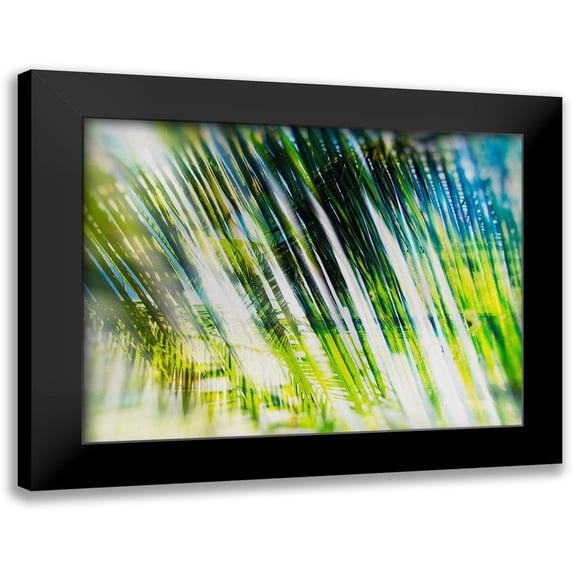 Pfrommer, Sven 14x12 Black Modern Framed Museum Art Print Titled - Evergreen No. 6