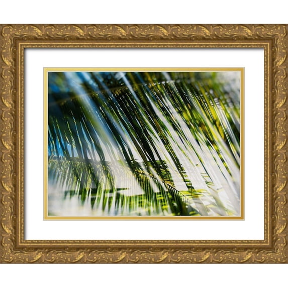 Pfrommer, Sven 14x12 Gold Ornate Wood Framed with Double Matting Museum Art Print Titled - Evergreen No. 10