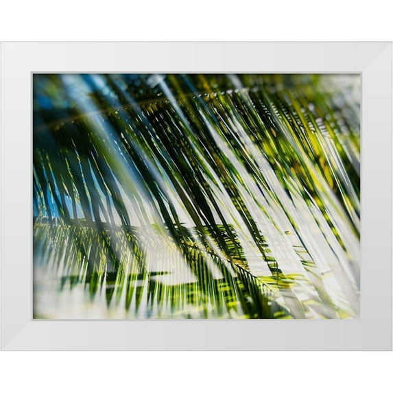 Pfrommer, Sven 14x12 White Modern Wood Framed Museum Art Print Titled - Evergreen No. 10