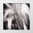 thumbnail image 1 of Pfrommer, Sven 26x26 White Modern Wood Framed Museum Art Print Titled - Evergreen No. 4, 1 of 4