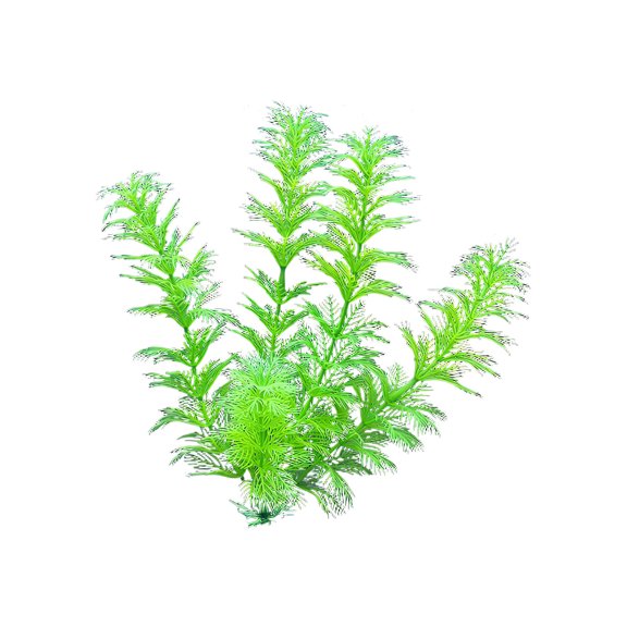 Pgyong Aquarium Plants Realistic Artificial Plastic Fish Tank Plants Decoration Ornaments Safe for All Fish 12 Inches Tall
